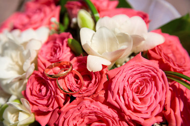 Similar image 1588448