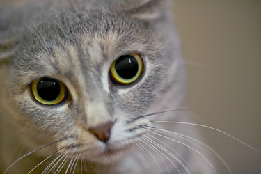 Similar image 1588526