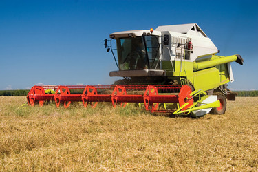 Similar image 1588534