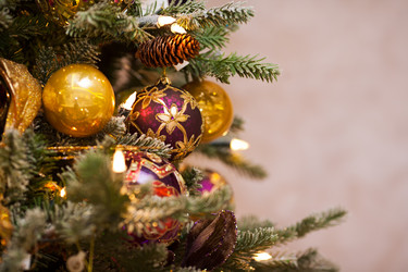 Similar image 1588537