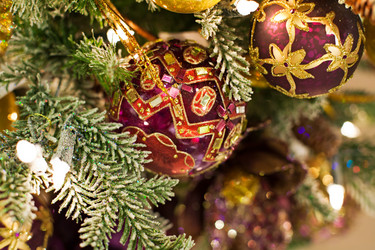 Similar image 1588538