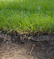 Similar image 1588549