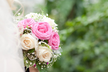 Similar image 1588558