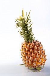 Similar image 1588587