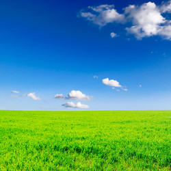 Similar image 1588599