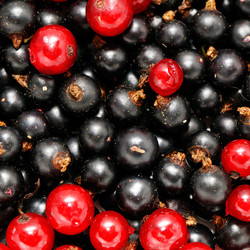 Similar image 1588604