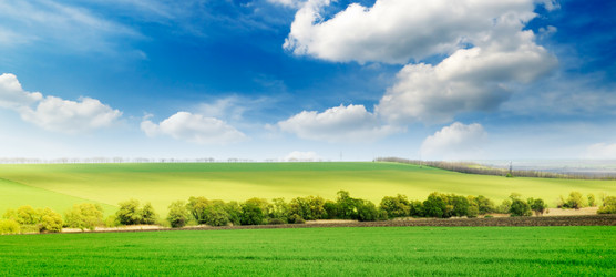 Similar image 1588612