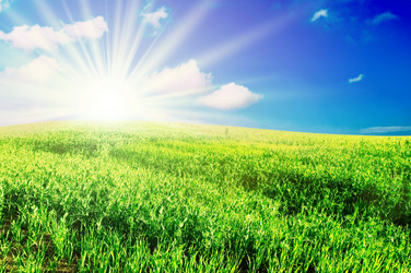 Similar image 1588616