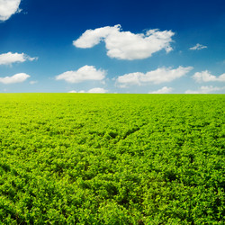 Similar image 1588626