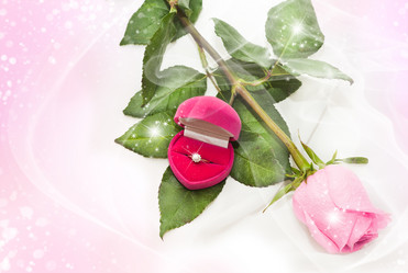 Similar image 1588680