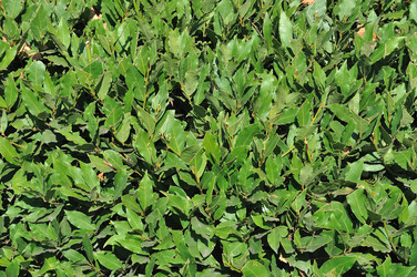 Similar image 1588692