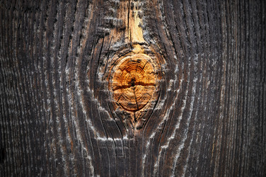 Similar image 1588695