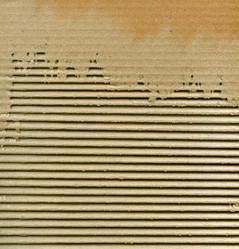 Similar image 1588713