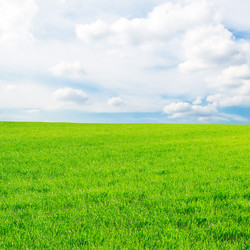 Similar image 1588770