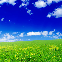 Similar image 1588792