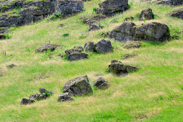 Similar image 1588806