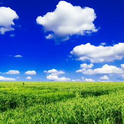 Similar image 1588807