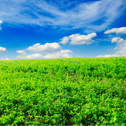 Similar image 1588808