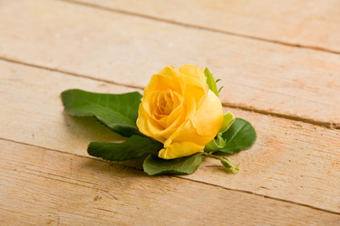 Similar image 1588848