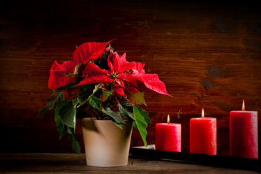 Similar image 1588953