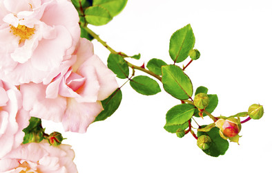 Similar image 1589045