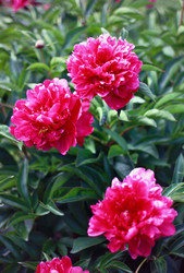 Similar image 1589131