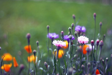 Similar image 1589209