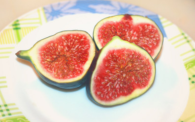 Similar image 1589210