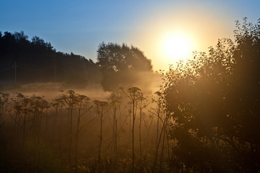 Similar image 1589290