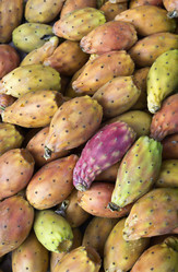 Similar image 1589389