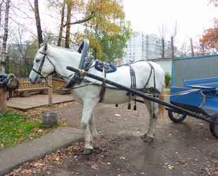 Similar image 1589427