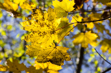 Similar image 1589447