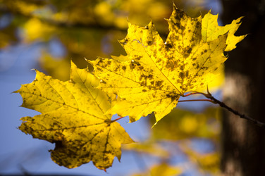 Similar image 1589448