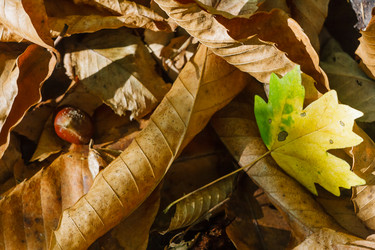 Similar image 1589510