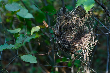 Similar image 1589514