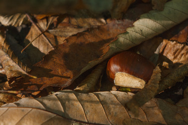 Similar image 1589515