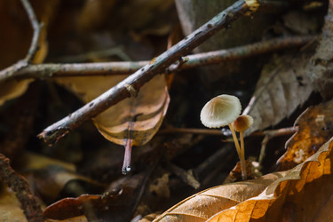 Similar image 1589518