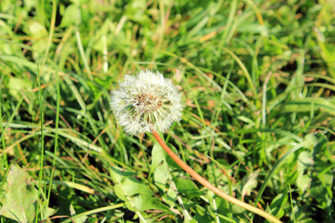 Similar image 1589522