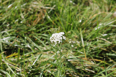 Similar image 1589528