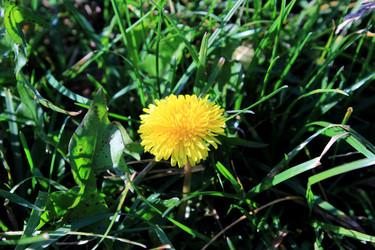 Similar image 1589531