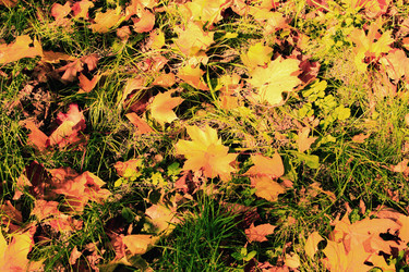 Similar image 1589535