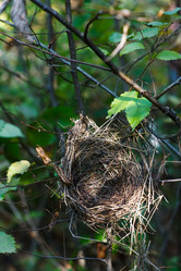 Similar image 1589538