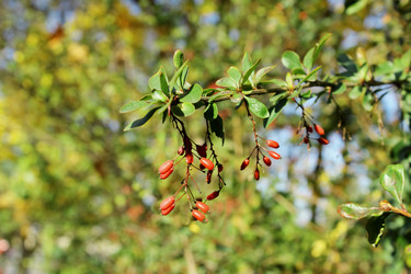 Similar image 1589539