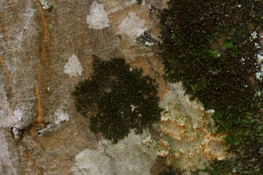 Similar image 1589540