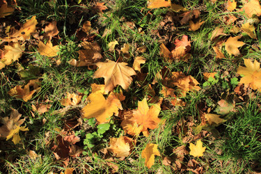 Similar image 1589542