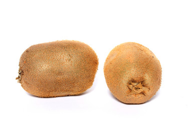 Similar image 1589548