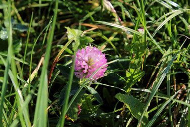 Similar image 1589549