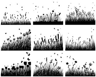 Similar image 1589619