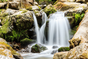 Similar image 1589624