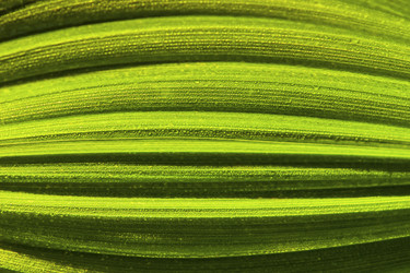 Similar image 1589636